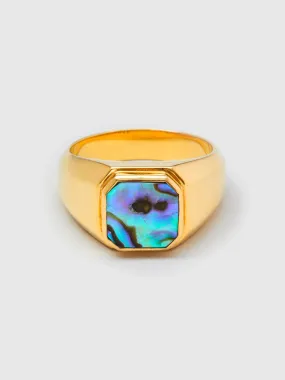 Duppy Signet Ring in Gold/Abalone Shell