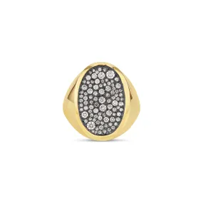 Oval Galaxy Signet Ring (Black)