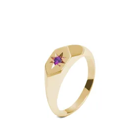 Starlight Amethyst Birthstone 9ct Gold Signet Ring