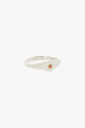 Sunlit Signet Pinky Ring Silver